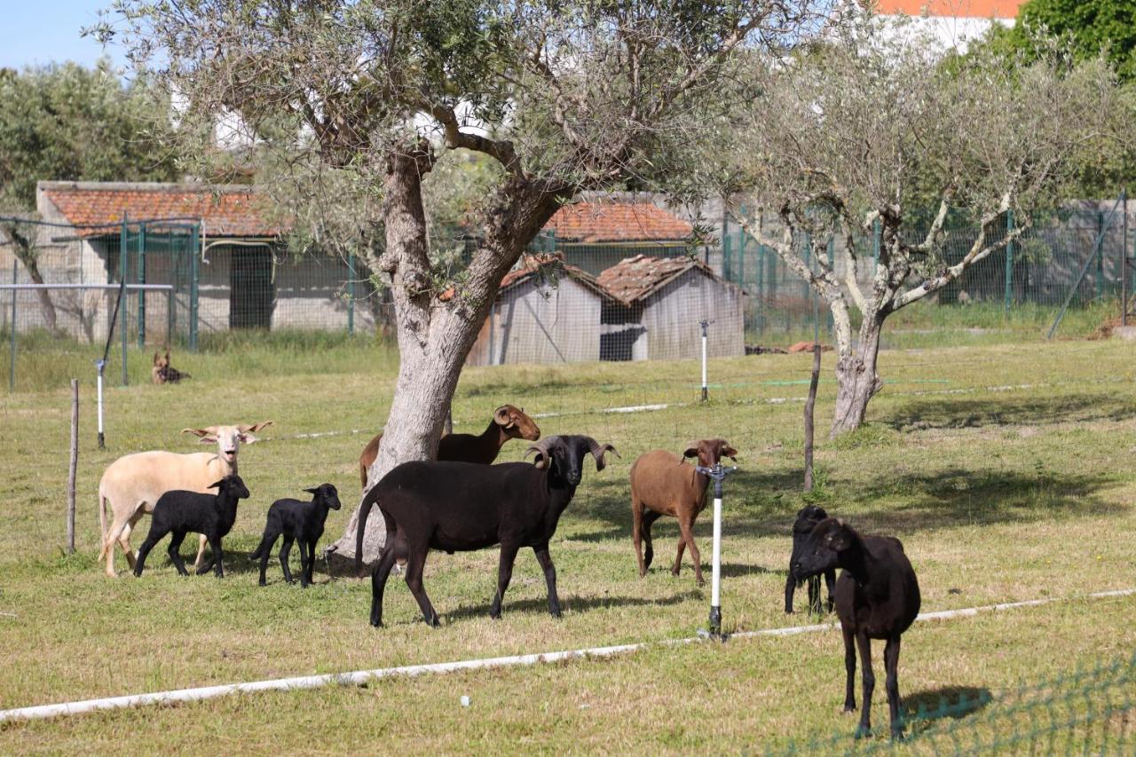 Villa Quinta Dos Patos Pinhanços Exterior foto
